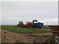 Potato harvesting, Arden-Sawah Farm