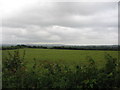 Farmland off the A361