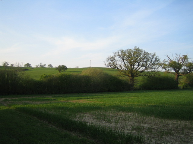 Farmland near Shipton Lee