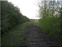SP7021 : Dismantled railway looking north 3 by Andy Gryce