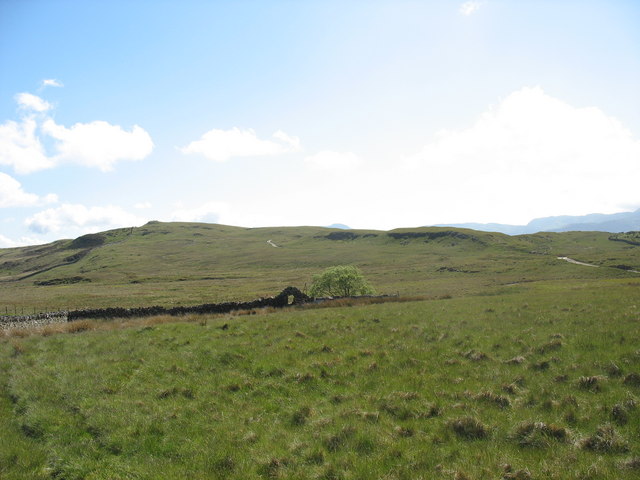 View from Dolddinas across rough grazing to the track leading to Trawsfynydd