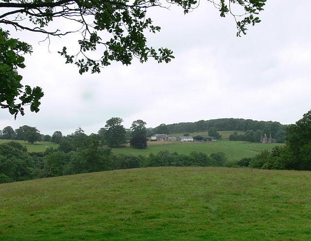 Fields In Front Of Lwynywormwood