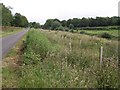 Lane and railway cutting