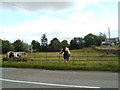 Horses near Corsock Church