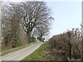 SO2146 : Lane at Penrhoel by Jonathan Billinger