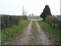 Bridleway to Eardisley