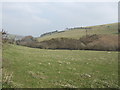 Valley of the Cwmila Brook