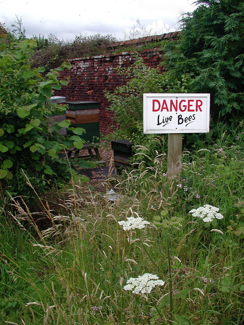 Danger: Live Bees