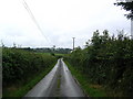 Country Lane Near Llangadog