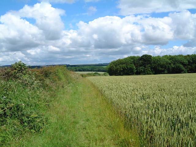 Path across Nafferton Wold