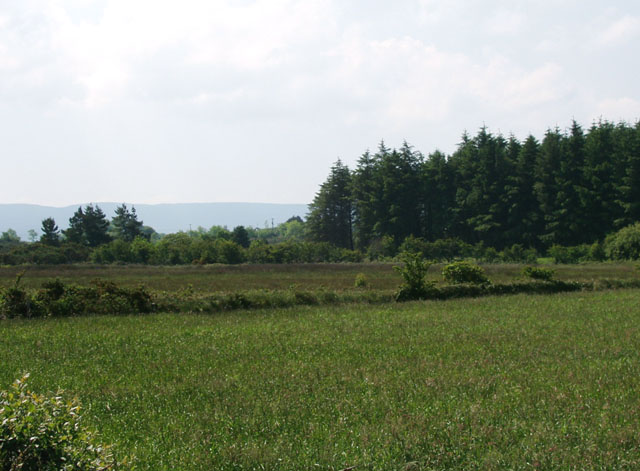 Farmland and forestry near Corbally