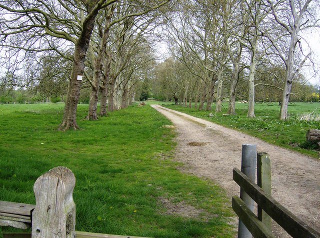 Entrance drive to Shillingthorpe Park