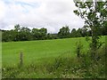 Ashwoods Townland