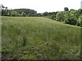 Tonlisderritt Townland