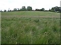 Whitehill Townland