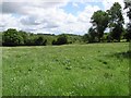 Devenish Townland