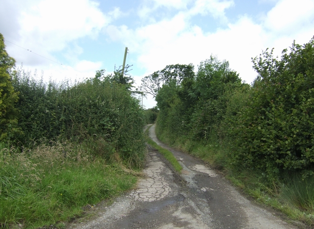Track to 'The Grove Farm'
