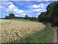 Field path from East Tytherley towards Bentley farms