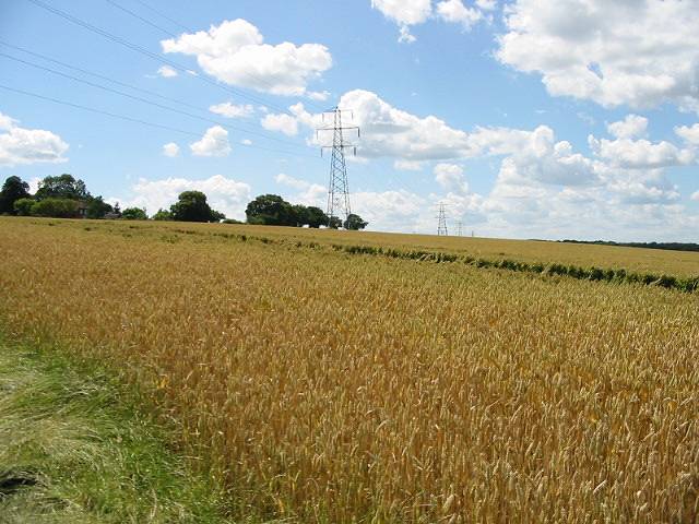 View W across fields near Hoades Court