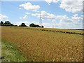 View W across fields near Hoades Court