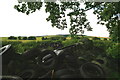 Tyre graveyard, Muirton Farm