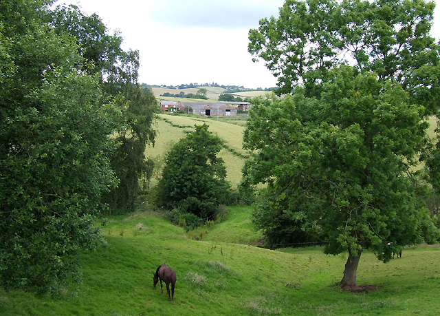 Grazing land near  Spoonhill in Shropshire