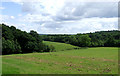 Farmland and Forest, near Spoonhill, Shropshire