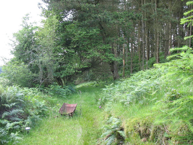 An abandoned wheelbarrow on the forest path by Ty'n y simdde