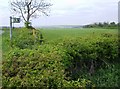 Footpath and bridleway junction