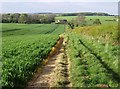 Towards Mill Farm cottages