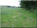 View along field margin near Millbank