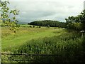 NY5153 : Bridleway from Stonebridge Lees by Rose and Trev Clough