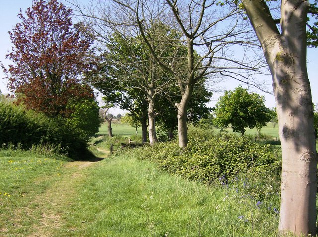 Macmillan Way near Beverston
