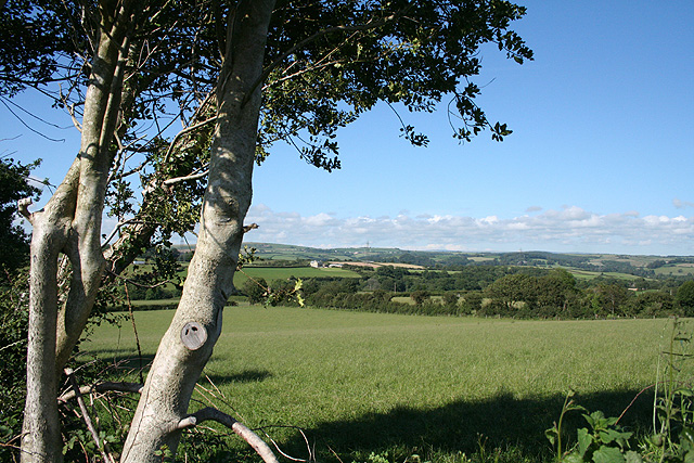 Tawstock: near Hollick