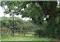 Towards Burtons Wood