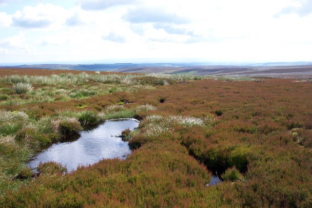 Pool on Masham Moor © Martin Thackeray cc-by-sa/2.0 :: Geograph Britain ...