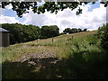 Field near Upcott Farm