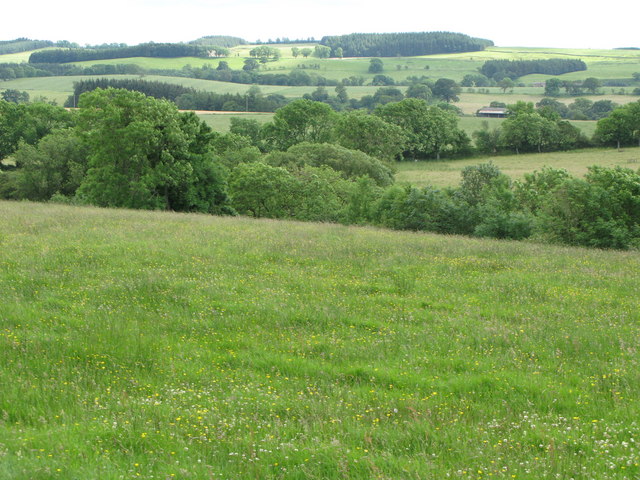 The valley of Dean Burn