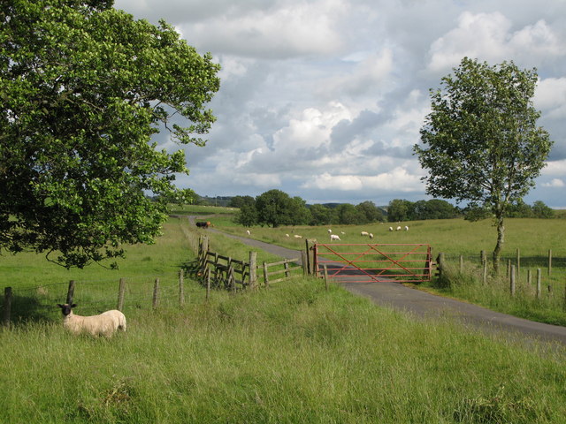 Gated road near Woodpark Farm