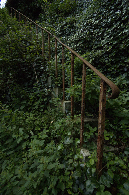 Overgrown Stairway