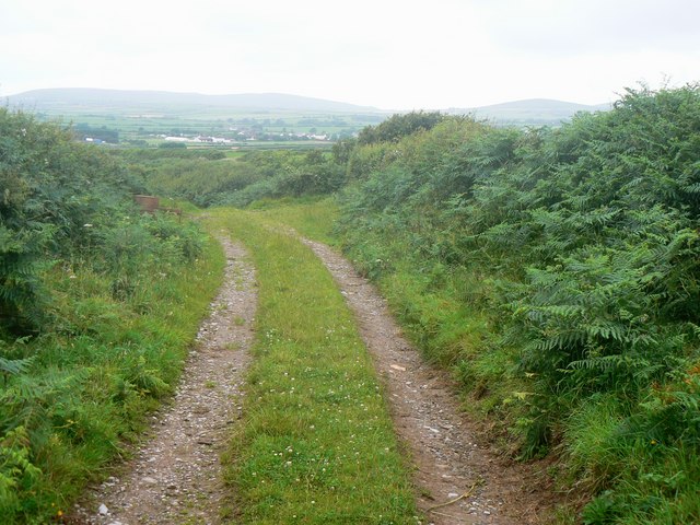 Farm track by Chapel Mere