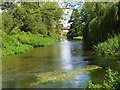 The River Avon, Amesbury