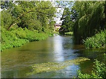 SU1540 : The River Avon, Amesbury by Andrew Smith