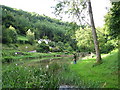 Fishing pond on the Angidy above Tintern