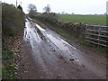 Muddy track to Patch Elm Farm