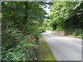 Beaumaris Road near Garth Lodge