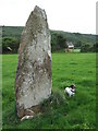 Standing stone from north