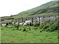 NC7253 : Sheep pens below the hill by RH Dengate