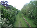 Disused railway near Sandhill