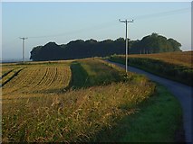 SU0840 : Farm road, Winterbourne Stoke by Andrew Smith